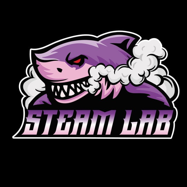 Steam Lab